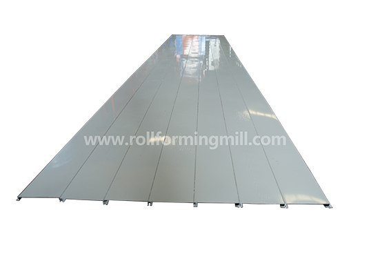 แสดงสินค้า