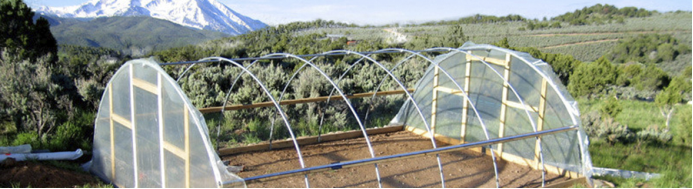 เคสใบสมัคร